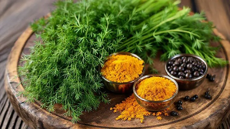 A vibrant, photorealistic image of fresh dill sprigs, alongside small bowls of ground cumin, turmeric, and black pepper, artistically arranged on a rustic wooden board. professional photography, 8K, cinematic lighting, sharp focus, depth of field, shot on a high-end DSLR.
